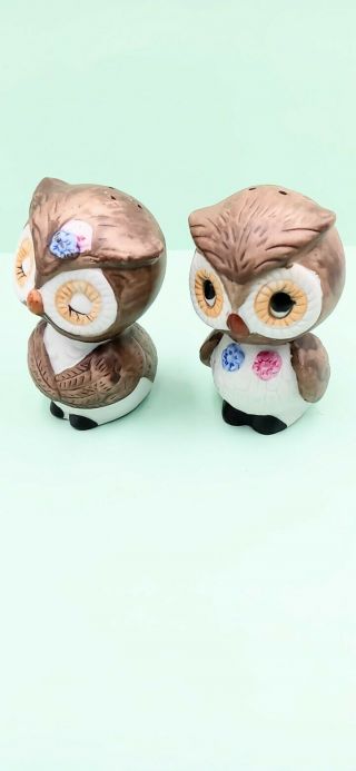 Vintage Baby Owl Salt And Pepper Shakers With Pink & Blue Flowers Made In Korea