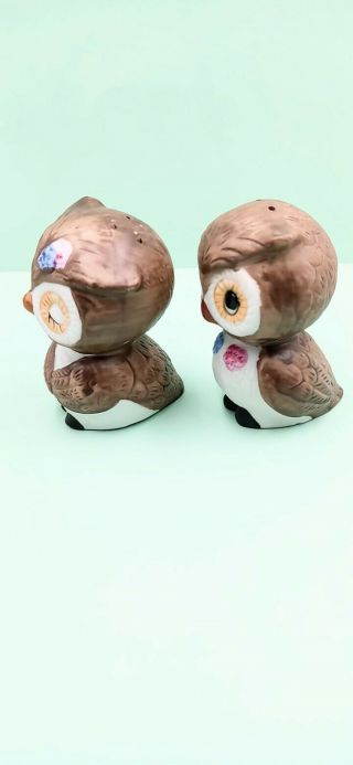 Vintage Baby Owl Salt And Pepper Shakers With Pink & Blue Flowers Made In Korea 2