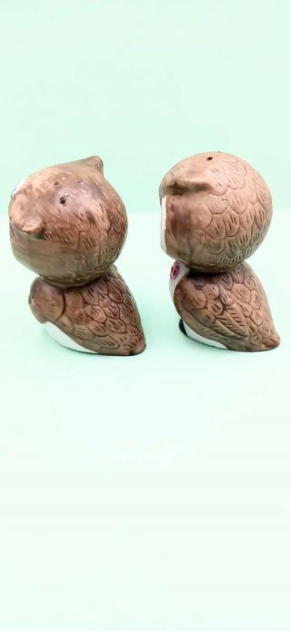 Vintage Baby Owl Salt And Pepper Shakers With Pink & Blue Flowers Made In Korea 3