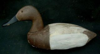 Hen Canvasback Decoys Unlimited Antique Hunting Lure Mason Hays Nr
