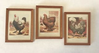 2 - Vintage Dollhouse Miniature Pictures Of Chickens,  1:12” Scale