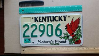 License Plate,  Kentucky,  Nature 