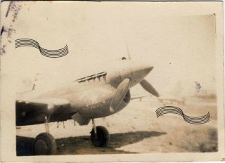 Wwii Usaaf P - 40 Warhawk 49th Fighter Grp Nose Art Australia 1942 1original Photo