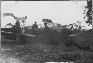 Wwii Usaaf P - 40 Warhawk 49th Fg Crash Lands Darwin Australia 1942 Photo