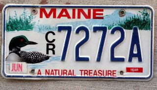 Maine " A Natural Treasure " License Plate With A Red - Eyed Loon