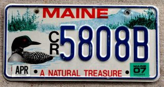 Maine " A Natural Treasure " License Plate With A Red - Eyed Loon - 2007 Sticker