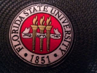 Fsu Florida State University Vintage Embroidered Iron On Patch 3 " X 3 "