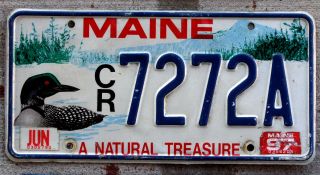 Maine " A Natural Treasure " License Plate With A Red - Eyed Loon - 1997 Sticker