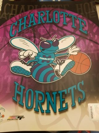 Authentic Vintage Charlotte Hornets 8x10 Photo With Nba Hologram