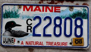 Maine " A Natural Treasure " License Plate With A Red - Eyed Loon - 2006 Sticker