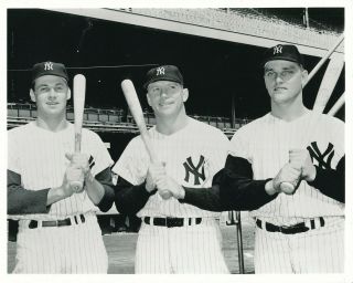 Mickey Mantle,  Roger Maris,  Tom Tresh 8x10 Photo York Yankees