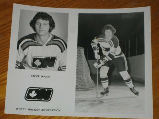 Ottawa Nationals Steve Warr Wha Media Photograph / Picture 1972 - 73