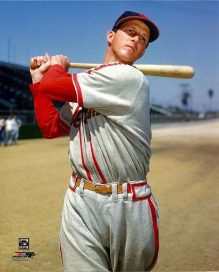 Stan Musial Cardinals Hall Of Fame Legend At Bat Color 8x10