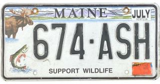 99 Cent Maine Support Wildlife License Plate 674 - Ash