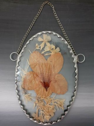 Vintage Pressed Flowers,  Floral Design Beveled Lead Glass Sun Catcher