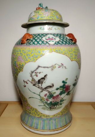 Large Chinese Porcelain Famille Jaune Jar - Early 20th Century