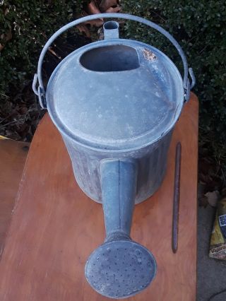 Vtg Antique Galvanized Metal Watering can with Sprinkle nozzle 12 