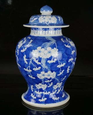 Large Antique Chinese Blue And White Porcelain Prunus Temple Vase & Cover Marked