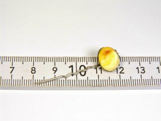 Natural Baltic Amber stone old vintage pin 1.  2 grams butterscotch egg yolk 3425 2