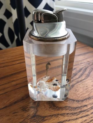 Vintage Seahorse Starfish Shells Evans Table Lighter 4”,  Acrylic Lucite Nautical