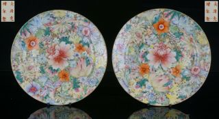 Pair Antique Chinese Famille Rose Millefleur Flowers Plate Guangxu C1875 - 1908 /b