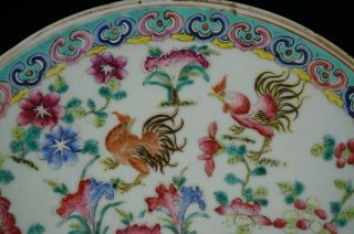 LARGE Antique Chinese Famille Rose Porcelain Cockerels Plate Charger 19th C QING 2