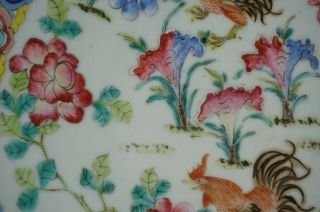LARGE Antique Chinese Famille Rose Porcelain Cockerels Plate Charger 19th C QING 6