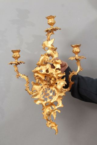 Pair Large Quality Gold Gilt Bronze,  French Louis XV Style Candle Wall Sconces 5