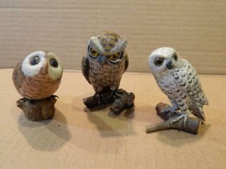 3 Small Hand Carved Wood Owl Figurines Glass Eyes Vintage