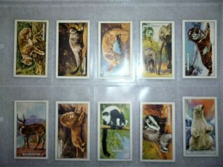 Cigarette Cards - Wild Animals 1937 - Gallahers,  Full Set Of Originals