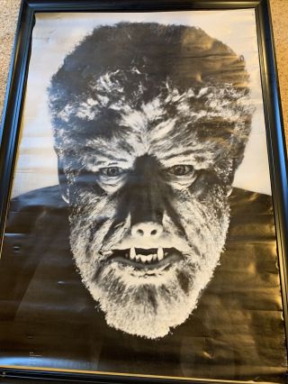 Vintage 1967 Poster The Werewolf Personality Poster Print USA 27” x 39” rare 2