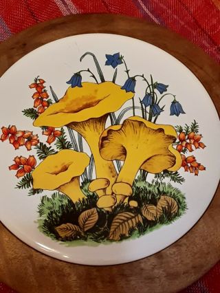 Vintage Rare Merry Mushrooms Tile Hot Plate Oregon Myrtlewood.