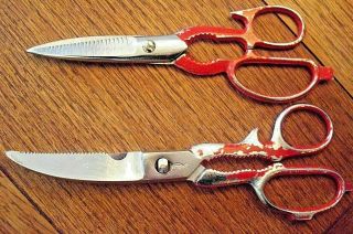 2 Pc Vintage Scissors Sammann 8 " Hot Drop Forged Steel Made In Italy 1 Unmarked.