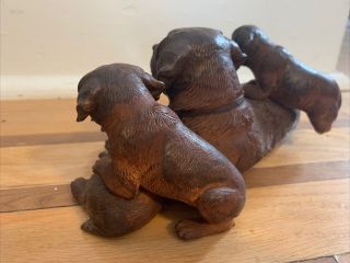 Antique Black Forest Carved Walnut St Bernard Dogs Walter Mader Style 5