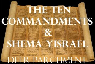 Large Torah Scroll Manuscript Vellum From Yemen 250 Yrs Old The Ten Commandments
