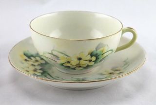 Vintage C.  T.  Altwasser Germany Yellow Floral Porcelain Tea Cup And Saucer