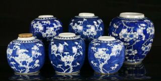 6x Antique Chinese Blue And White Prunus Blossom Porcelain Vase Ginger Jars