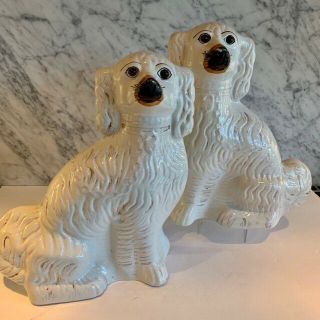 Pair Antique Staffordshire Comforter Spaniels Dogs Glass Eyes 19th Century 13.  5 "