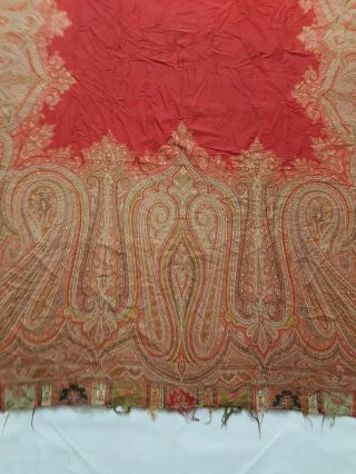 Antique French Paisley Kashmir Shawl Woolen Multi Color 308x142cm 3