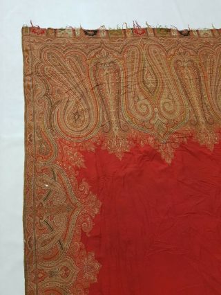 Antique French Paisley Kashmir Shawl Woolen Multi Color 308x142cm 6