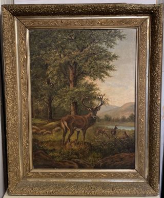 Orig Antique Oil Painting Of Deers & Doe In The Forest (unsigned) 15 3/8” X 21”