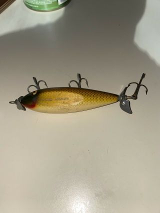 Vintage Creek Chub Injured Minnow Fishing Lure In Golden Shiner,  With Glass Eyes