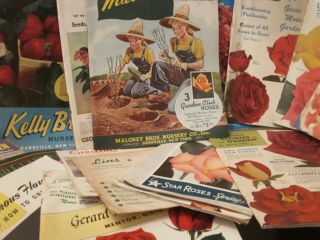17 Vintage 1950 - 54 Rose Flower Bulb Seed Veggie Catalogs W Order Form & Prices