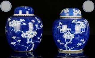 Lg Pair Antique Chinese Blue And White Prunes Porcelain Ginger Jar & Lid Mk 19c