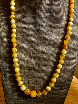 Fine Vintage Natural Egg Yolk Baltic Amber Beads Necklace