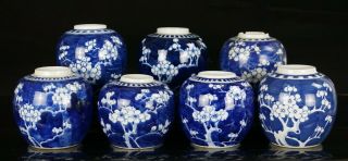 7x Antique Chinese Blue And White Prunus Blossom Porcelain Ginger Jars
