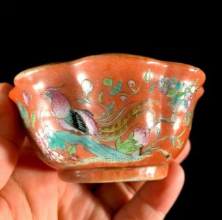 Chinese Antique Famille Rose Porcelain Bowl With Birds And Flowers
