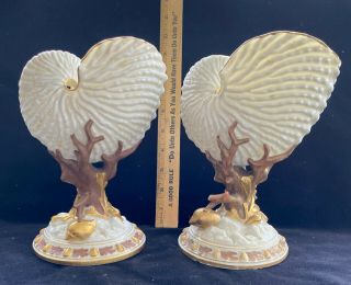 19th Century Antique Porcelain Royal Worcester Nautilus Shell Vases
