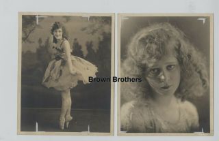 Vintage 1920s Vitagraph Silent Film Actress Marguerite De La Motte Dbw Photos (2