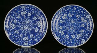 Pair Antique Chinese Blue And White Prunus Crackle Ice Porcelain Plate 19th C